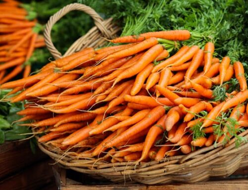 Carrot Fiber Boosts Gut Health and Strengthens Immune Defenses