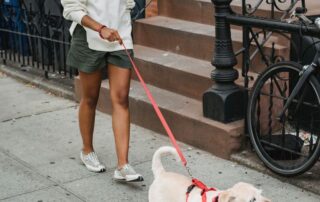 Person walking dog outdoors as part of a consistent healthy lifestyle in Mooresville, NC