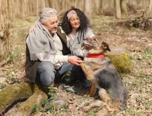 Pets Can Protect Cognitive Health in Older Adults