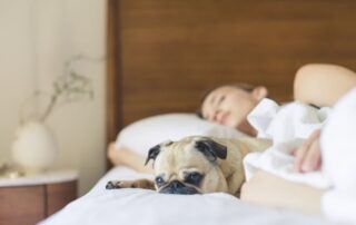 Sleep for recovery helps the body heal naturally | Active Spine Chiropractic Mooresville NC