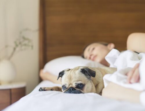 Why Sleep for Recovery Is One of the Most Powerful Tools for Healing
