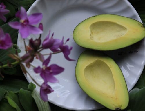 Why Fat Matters for Brain Health: Boost Memory and Focus Naturally
